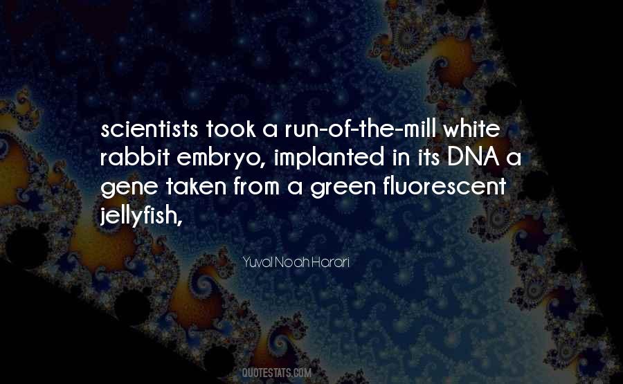 Quotes About White Rabbit #238260