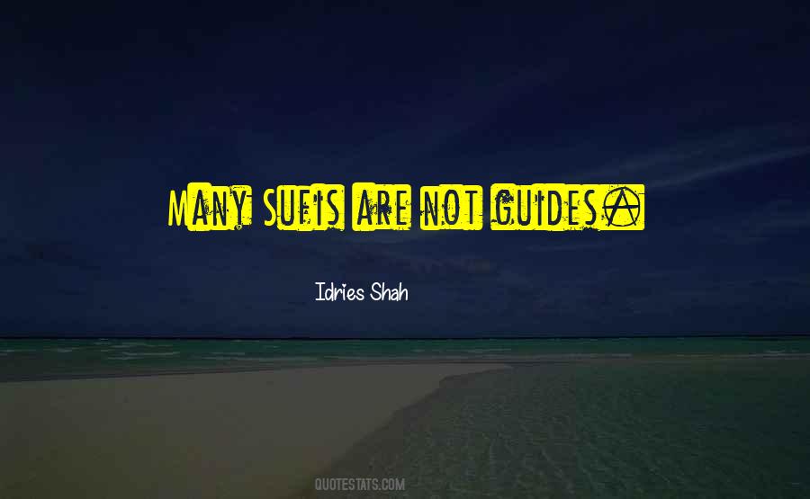 Sufi Teachers Quotes #1056262