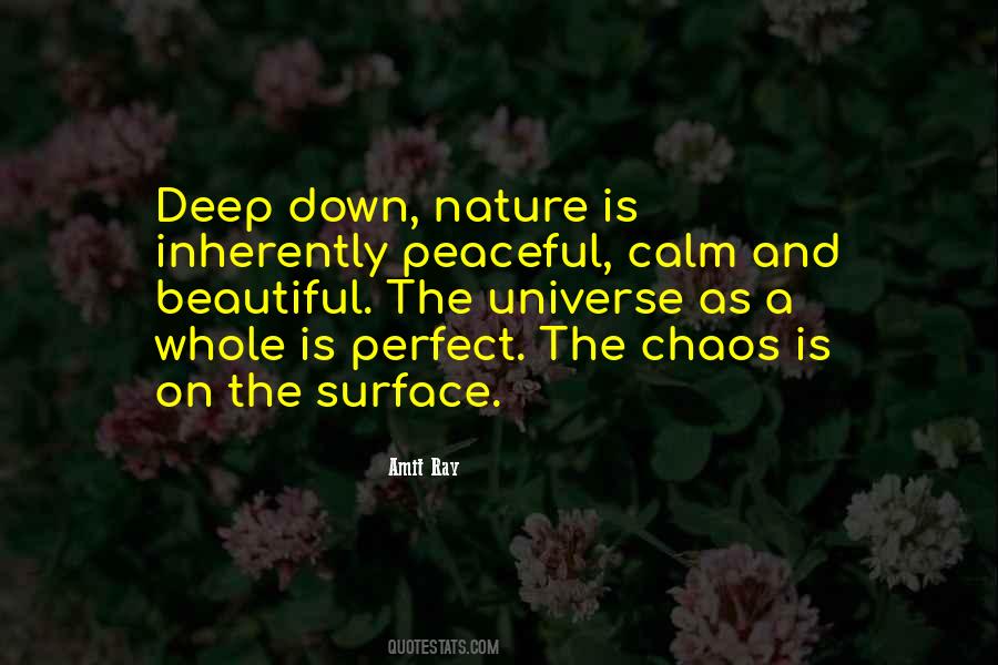 Quotes About Calm And Chaos #1846903