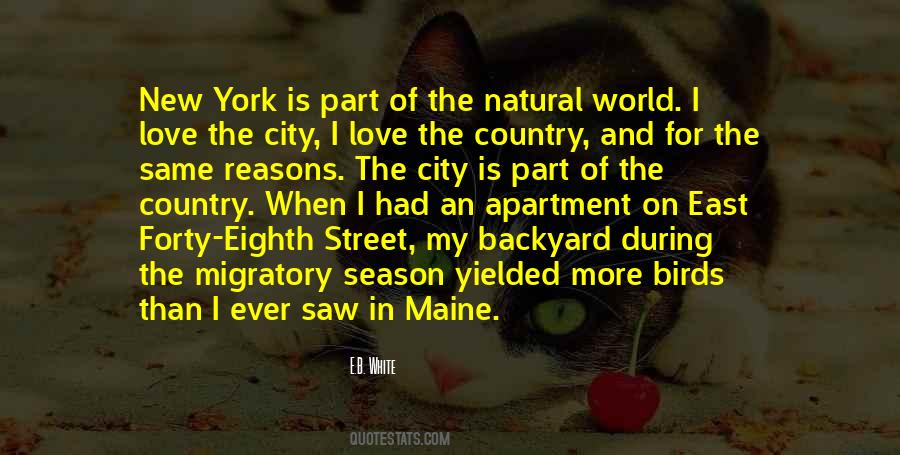 Quotes About Cities In The World #73527