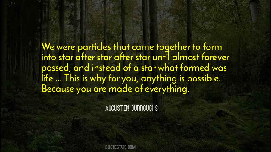 Life Particles Quotes #1510382