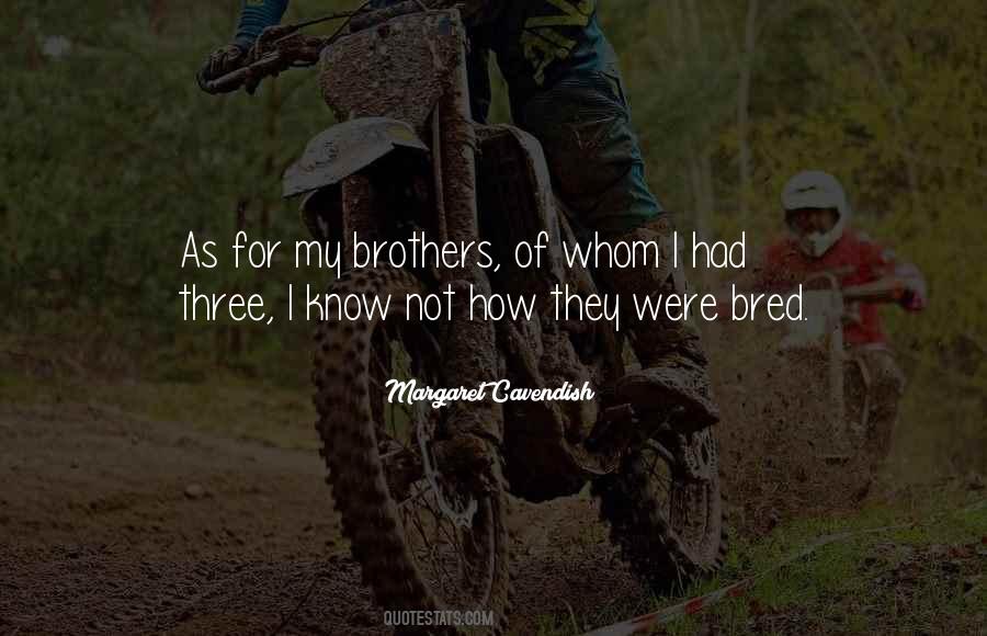Quotes About Three Brothers #1181099