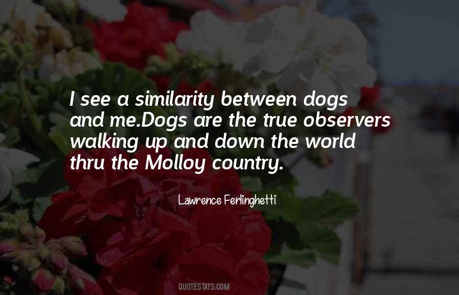 Quotes About Walking Dogs #1237943