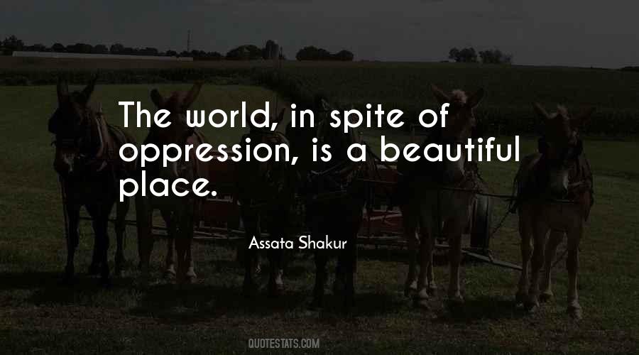 Quotes About The Beauty Of A Place #714071