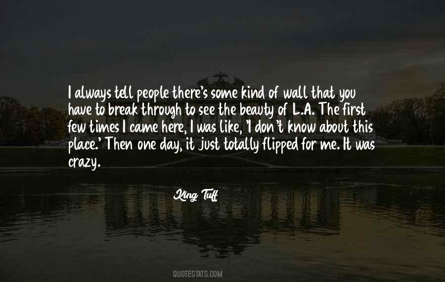 Quotes About The Beauty Of A Place #742049