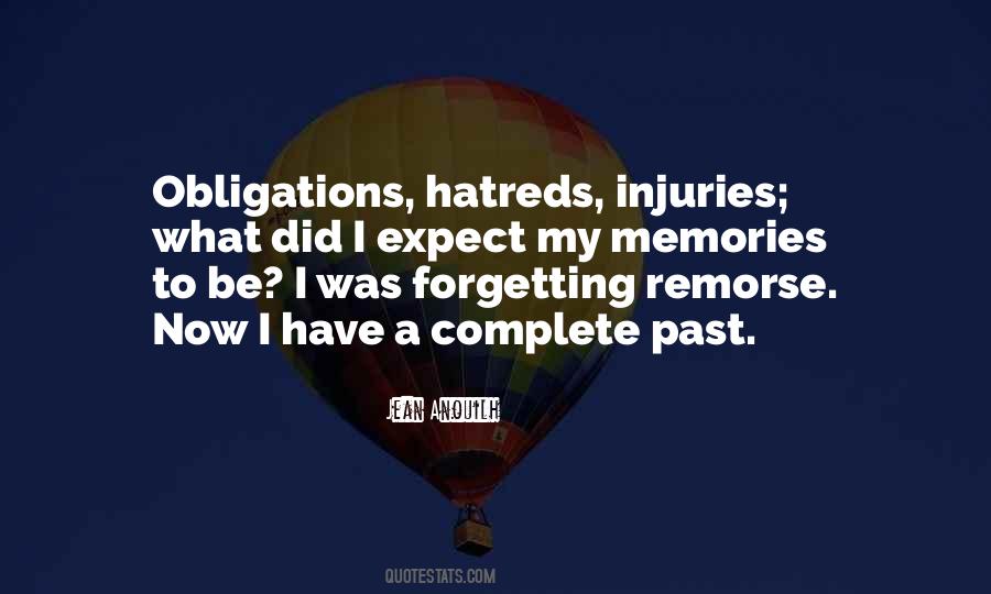 Quotes About Injuries #1701326