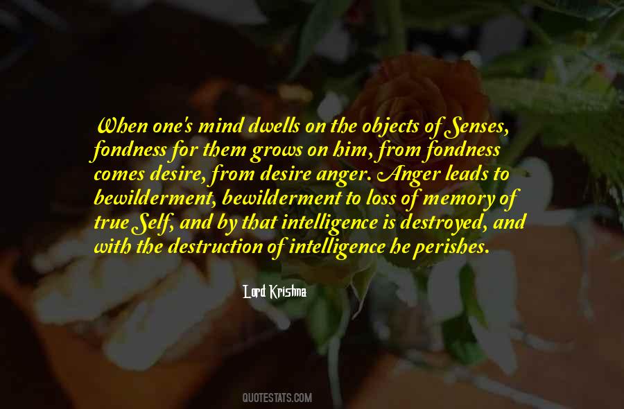 Quotes About Senses And Memory #1372051