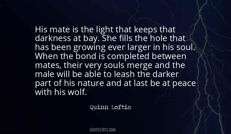 Quotes About Light In The Soul #690015