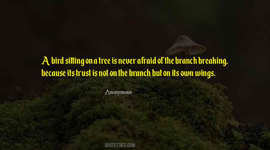 Quotes About Sitting Under A Tree #1283471