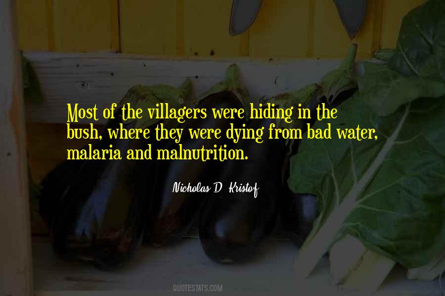 Quotes About Villagers #8546