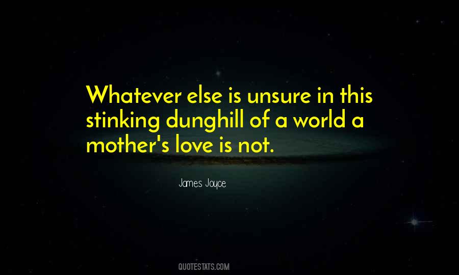 A Mother S Love Quotes #734066