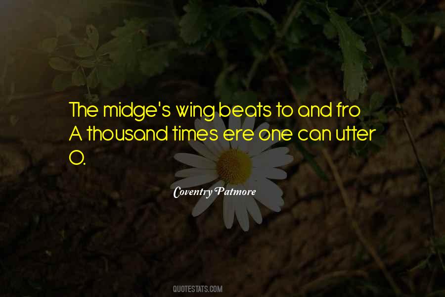 Quotes About Midges #341129