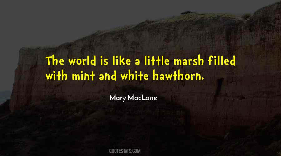 Mint Is Quotes #615664