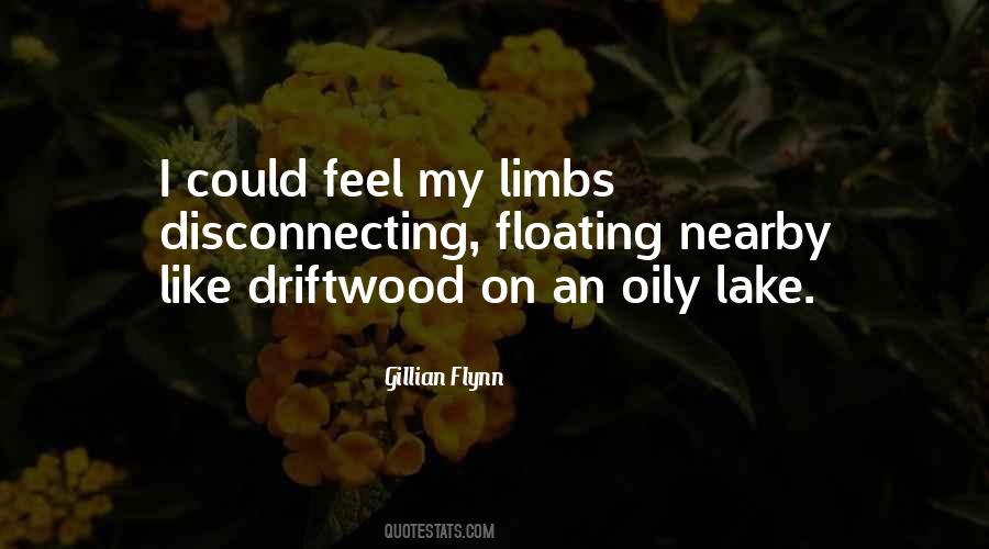 Quotes About Disconnecting Yourself #1485470