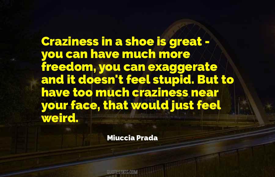 Quotes About Craziness #579954