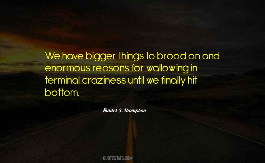 Quotes About Craziness #624312