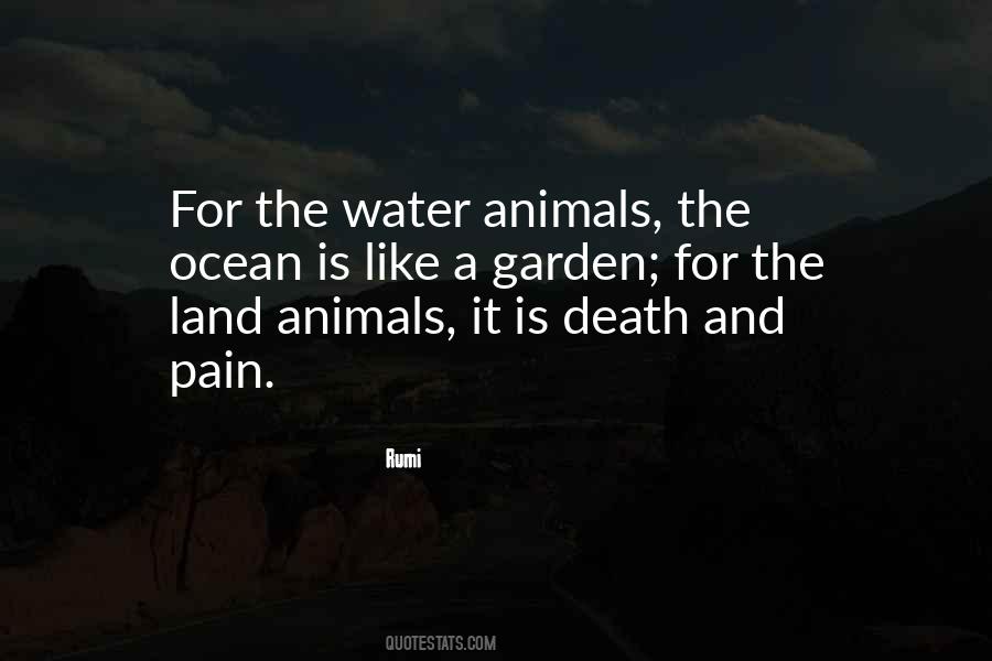 Quotes About Animals And Death #669712