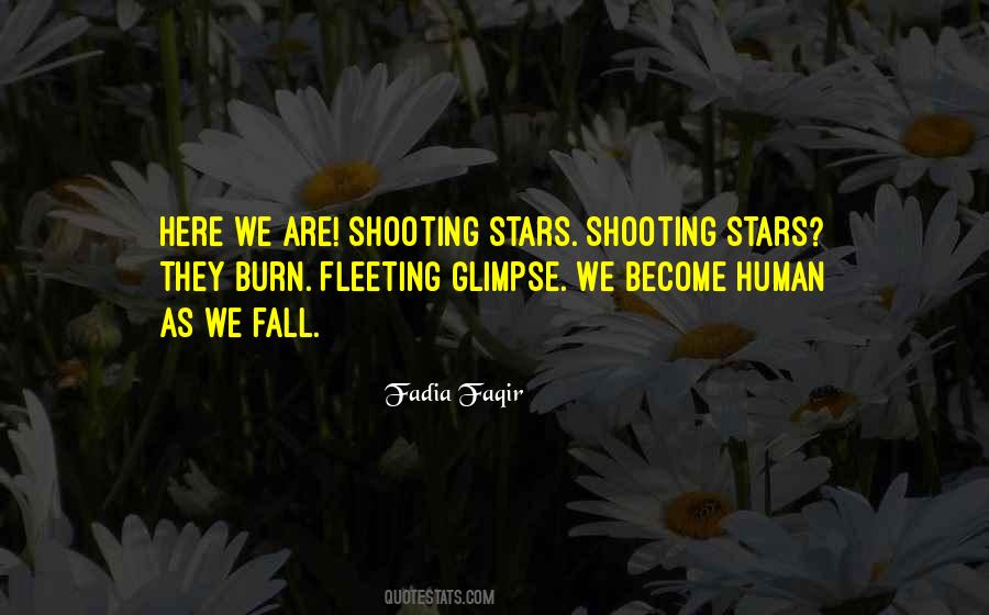 Quotes About Shooting Stars #63150