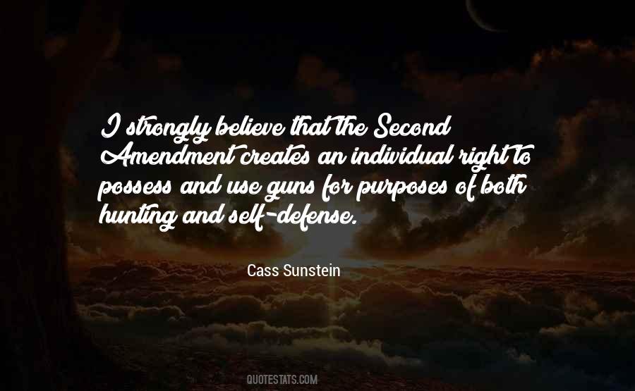 Quotes About Second Amendment #1726540