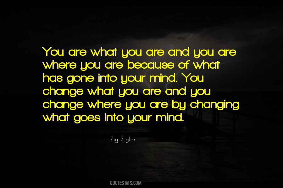 Mind Change Quotes #30486