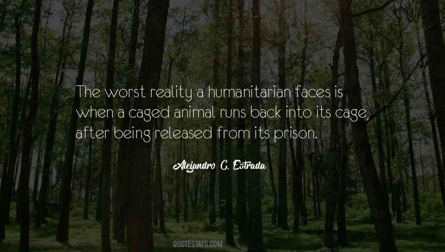 Animal Faces Quotes #1375160