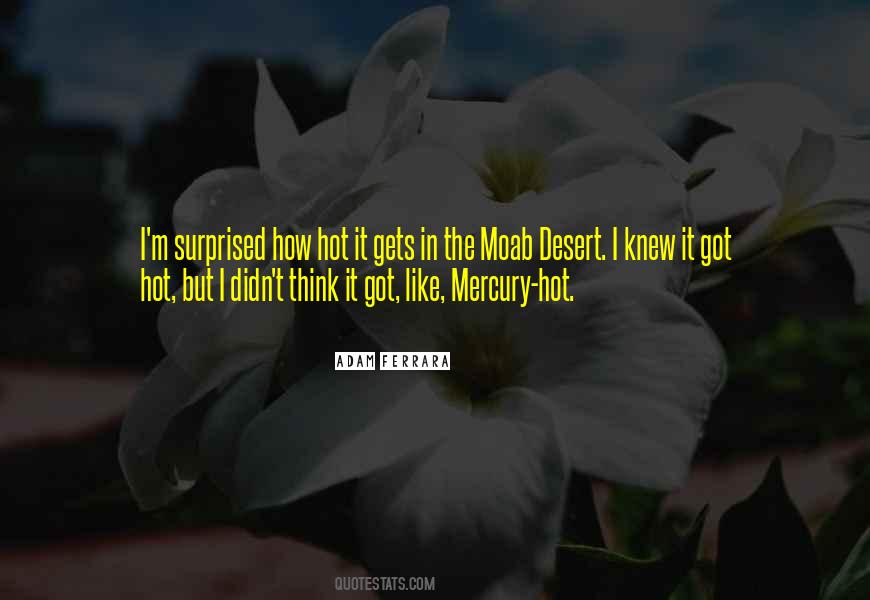 Devil To Pay Quotes #1065262