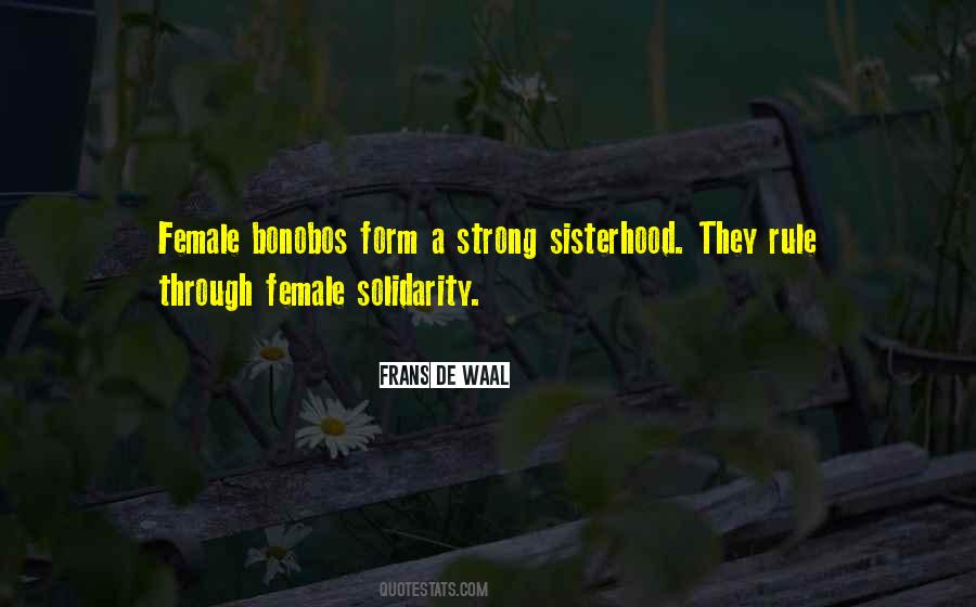 Quotes About A Sisterhood #1740305