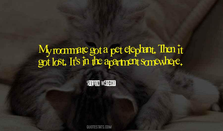 Quotes About A Lost Pet #805293