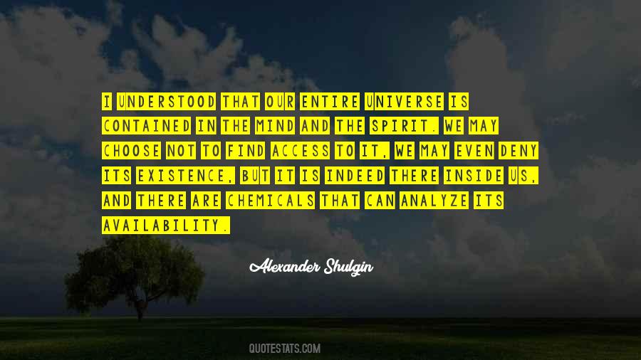 The Universe Is Inside You Quotes #1172045