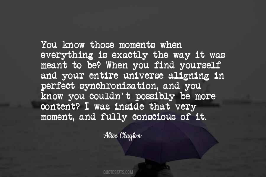 The Universe Is Inside You Quotes #300832