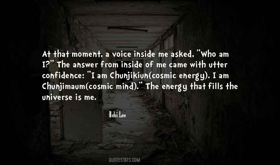The Universe Is Inside You Quotes #66616