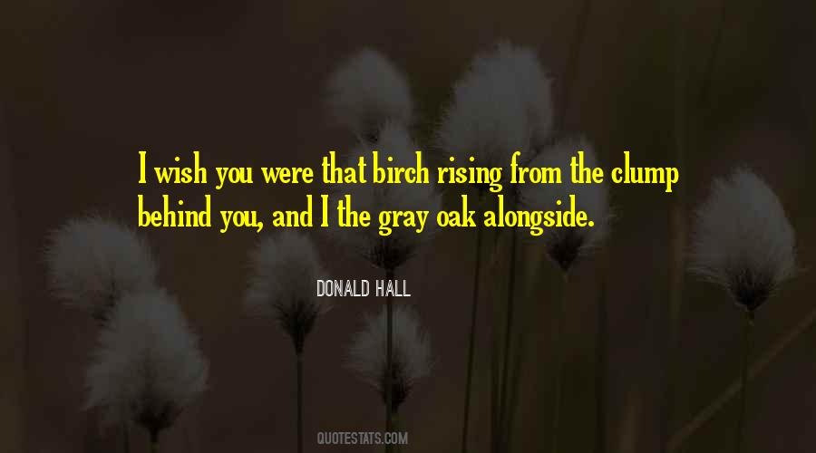 Quotes About Birch #1074400