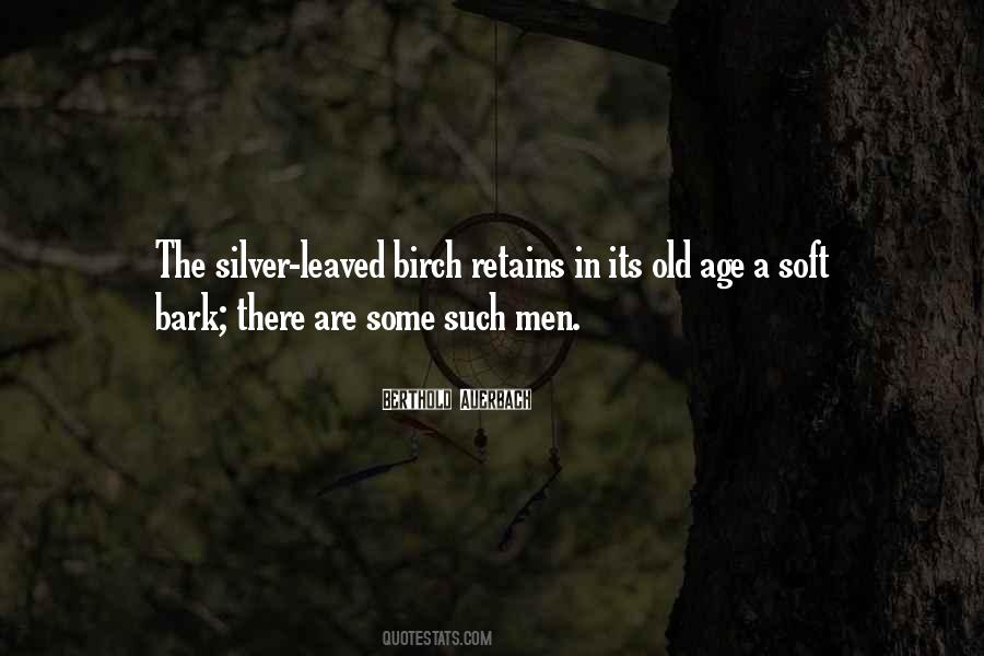 Quotes About Birch #453171