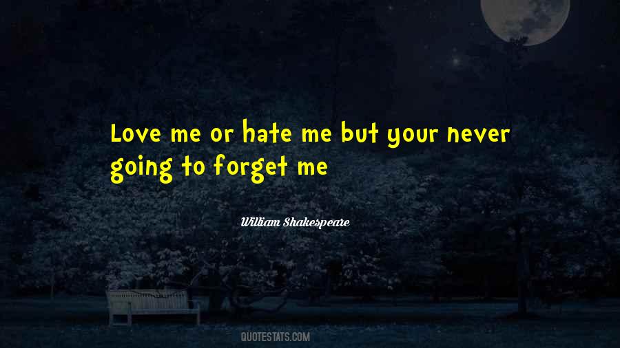 Quotes About Love Me Or Hate #422638