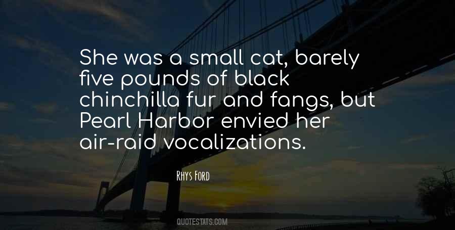 Black Cat Quotes #1628266