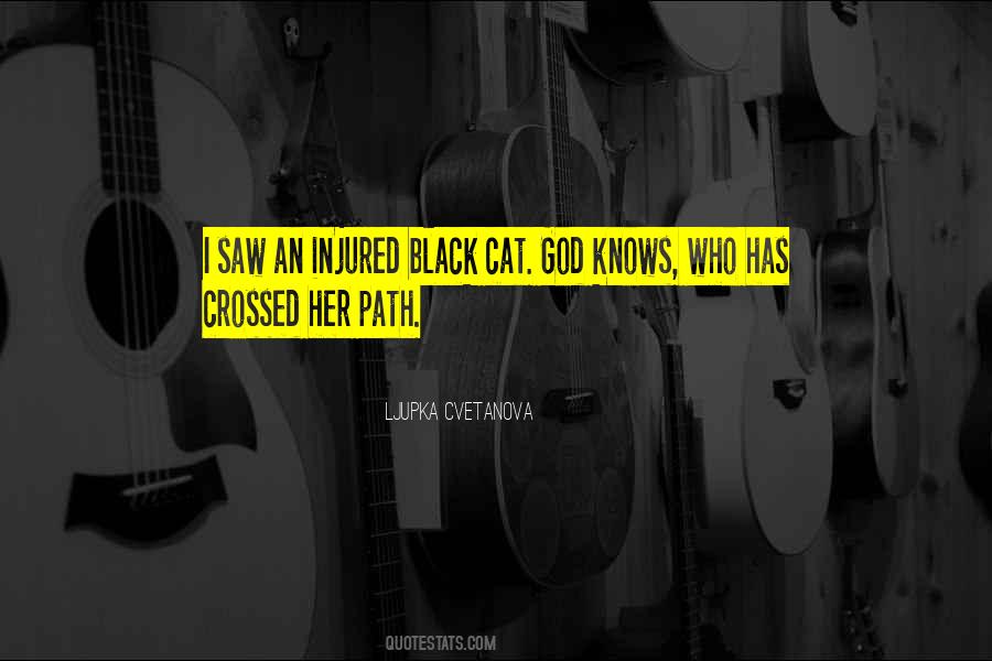 Black Cat Quotes #1745521