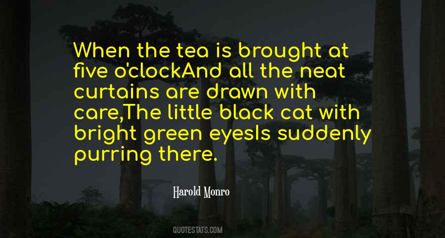 Black Cat Quotes #1844181