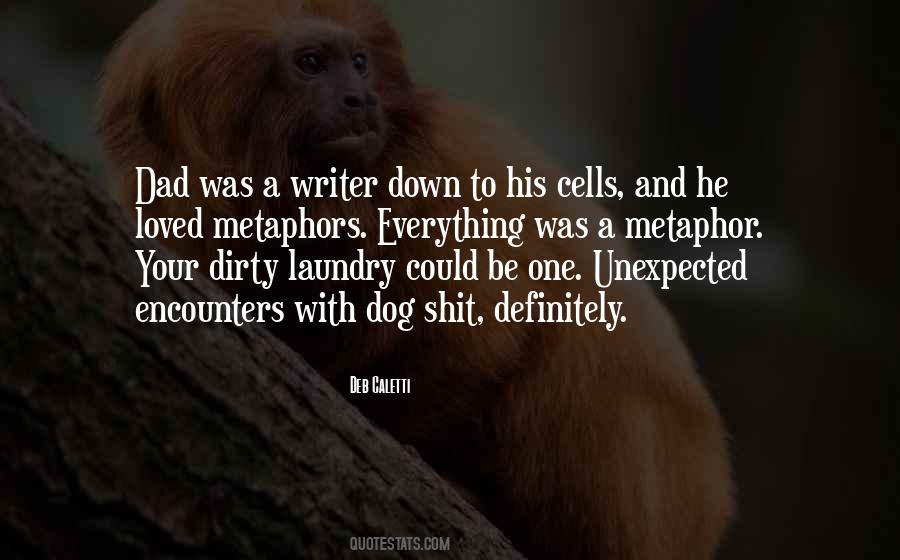 Quotes About Dirty Laundry #501066