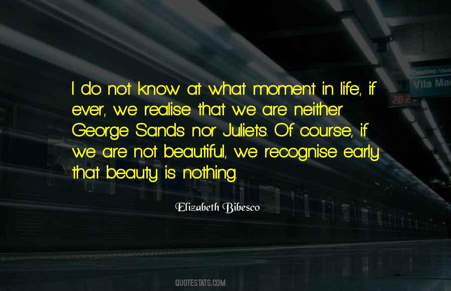 Moment Of Beauty Quotes #613422