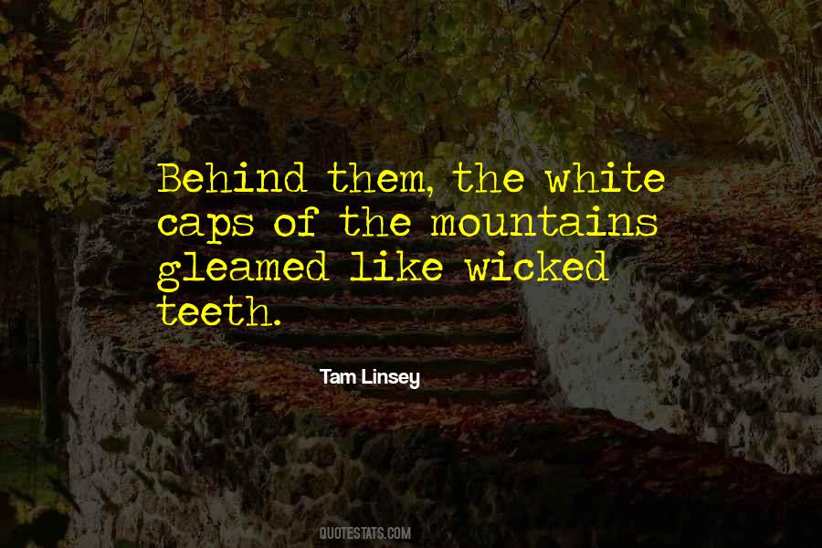 Quotes About The White Mountains #1628332