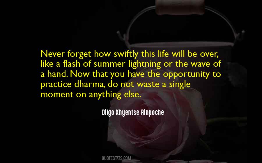 Opportunity Of Life Quotes #199133