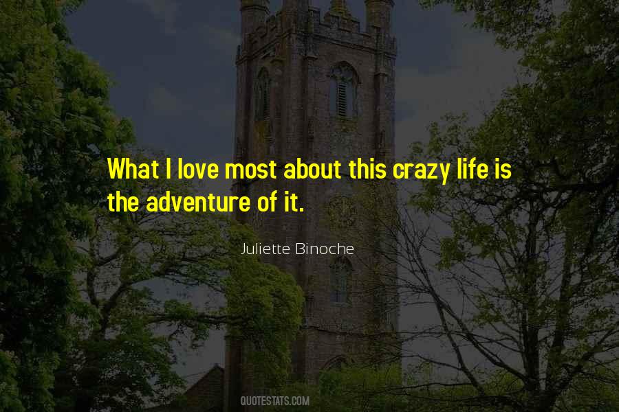 Quotes About Crazy Life #279871