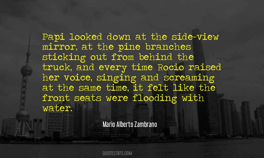 Quotes About Side View #917137