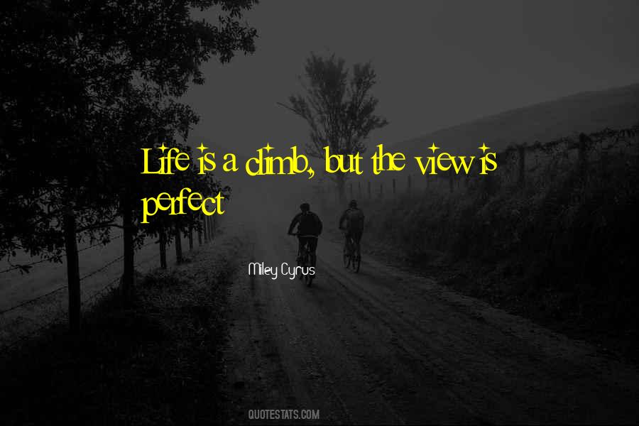 Life Is Perfect Quotes #172313