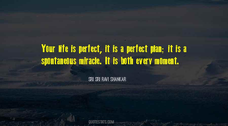 Life Is Perfect Quotes #1764175