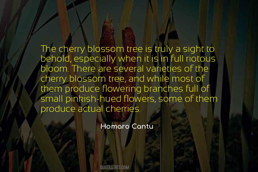 Quotes About Cherry Blossom #1210051