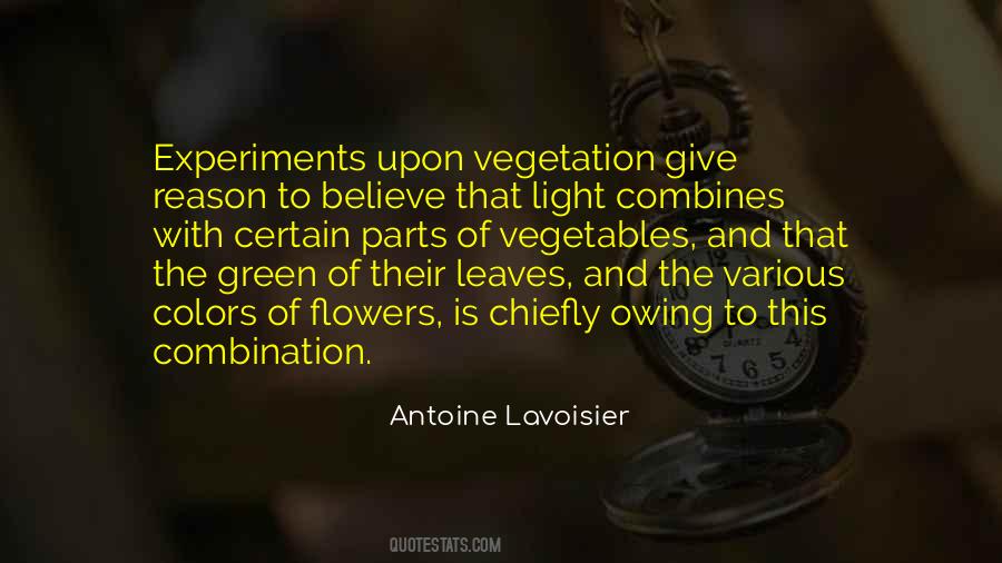 Quotes About Green Leaves #1321772