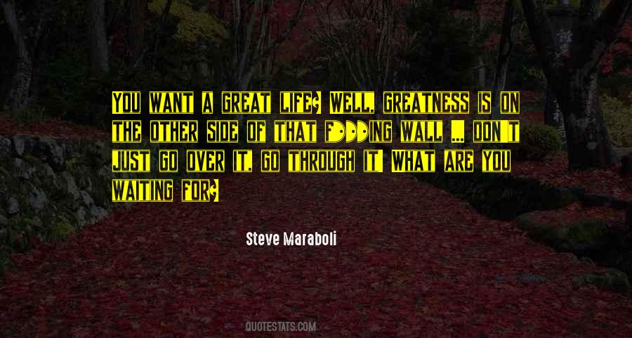 Quotes About Life Greatness #99600