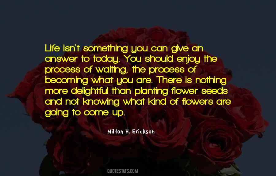 Quotes About Not Knowing #1335032