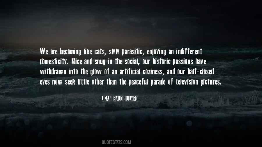 Quotes About Becoming Indifferent #252024